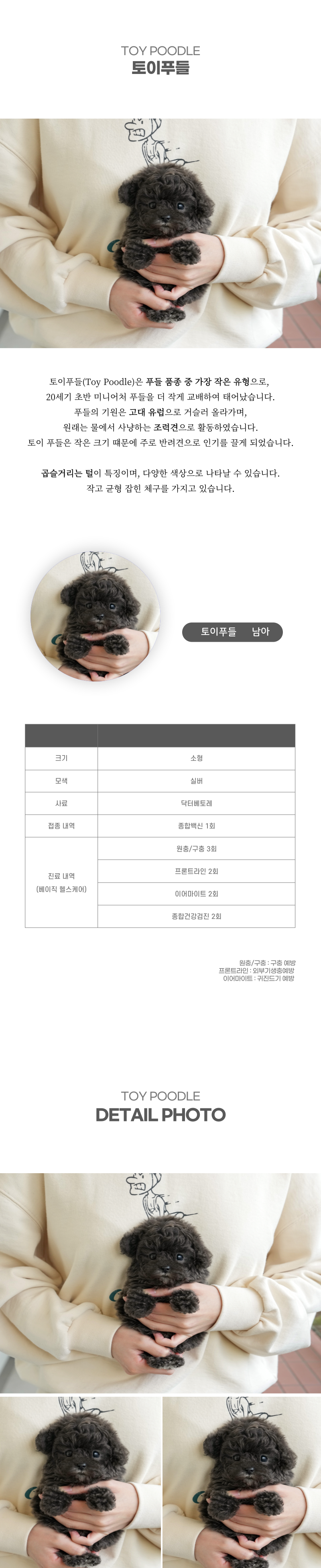 토이푸들_상세이미지_2